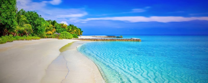 Beach Paradise